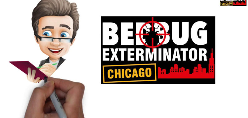 Bed Bug Exterminator Chicago: Your Premier Solution for Comprehensive Pest Control