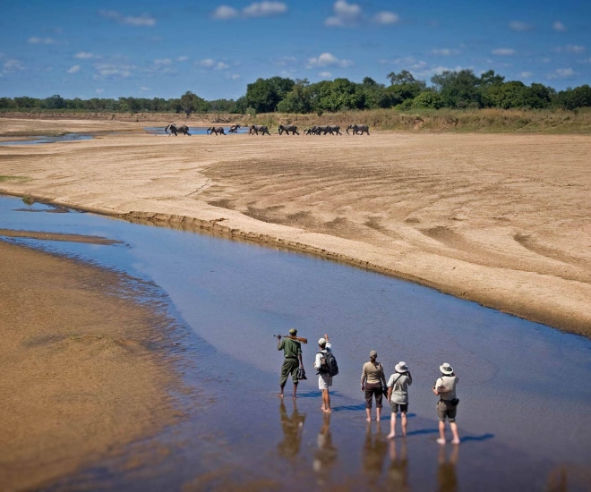 South Luangwa National Park Zambia resized Featured image 01