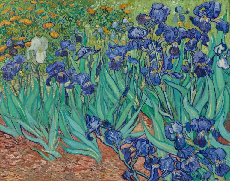 irises3