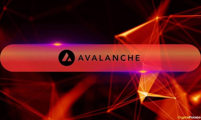 avalanche network cover