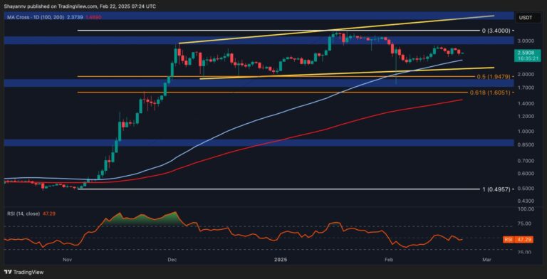 XRP D 4 scaled