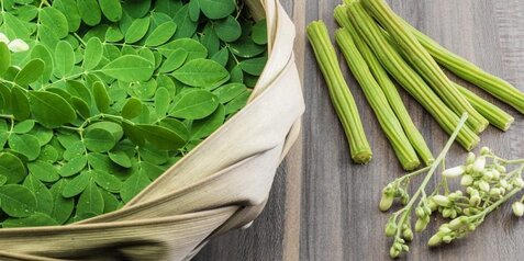 Theta Health Elevates Natural Wellness Landscape with Premier Online Health Shop in South Africa